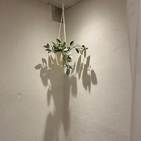 Homestay Mini 12- Meget Taet Pa Lego House Og Centrum Billund